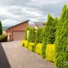 Cleghorn Avenue