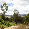 Ryans Road
