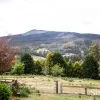 Ryans Road