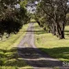 Windermere Road