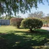 Wayne Place